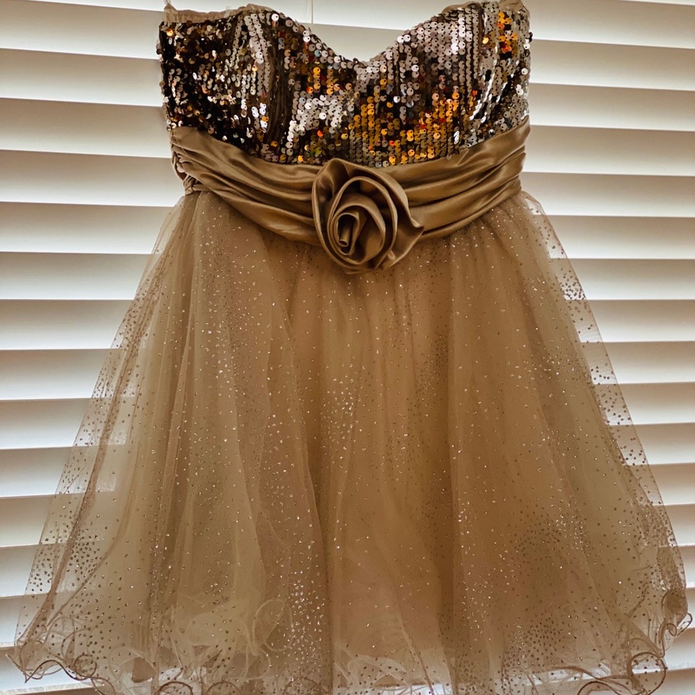 Winter Formal Dress